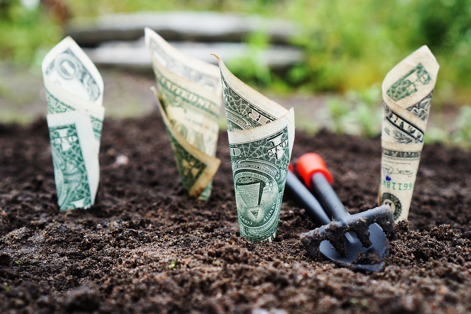 IBREP lança curso sobre como investir em franquias